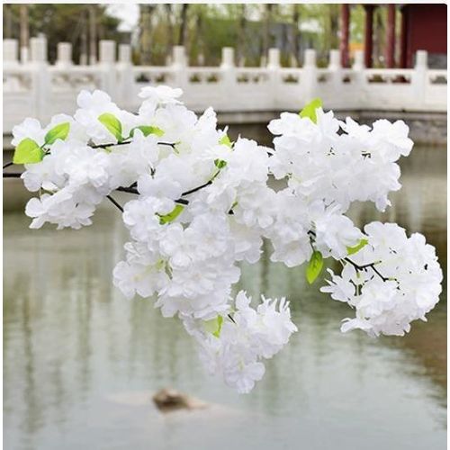 white Cherry Blossom.